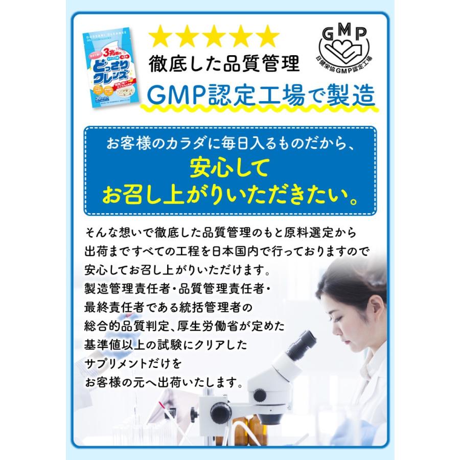 乳酸菌 ビフィズス菌 プロバイオティクス サプリメント どっさり 乳酸菌 ビフィズス菌 プロバイオティクス サプリメント どっさり