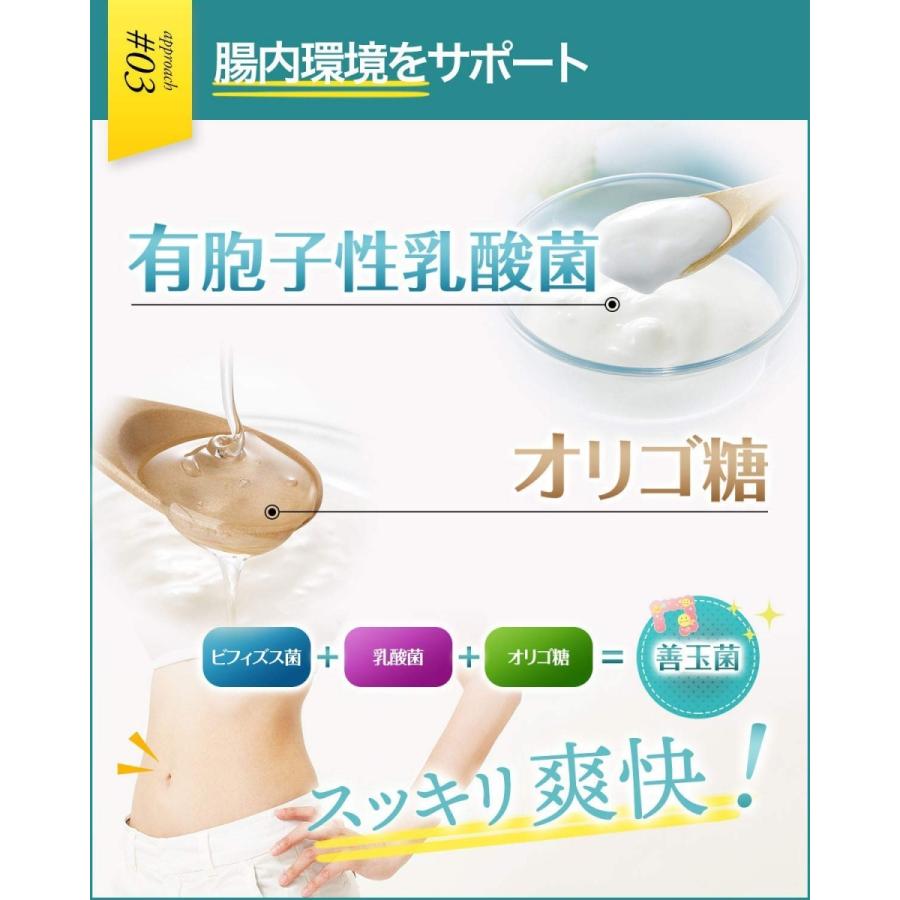 NIOCARE ニオケア タブレット シャンピニオン サプリ サプリメント 30