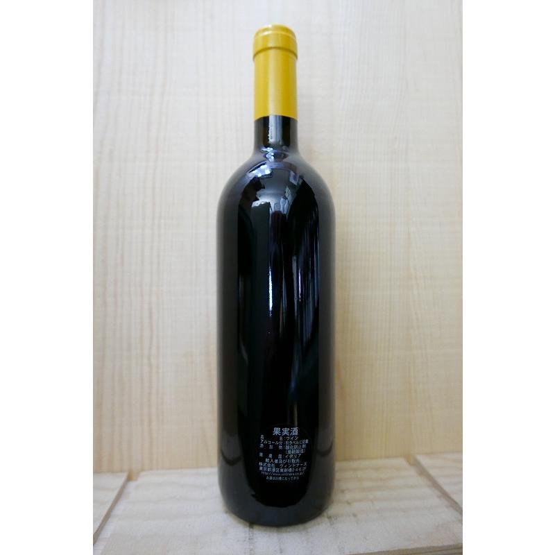 テスタ マッタ 2005 【公式通販】