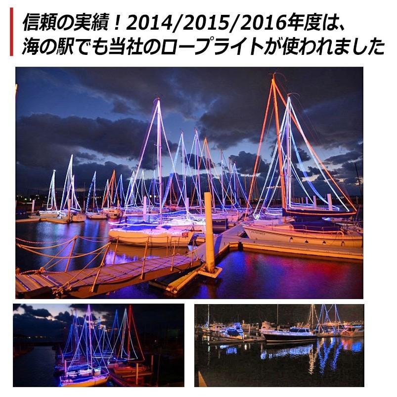 KYPLAZA イルミネーション LED チューブライト / ロープライト100m 