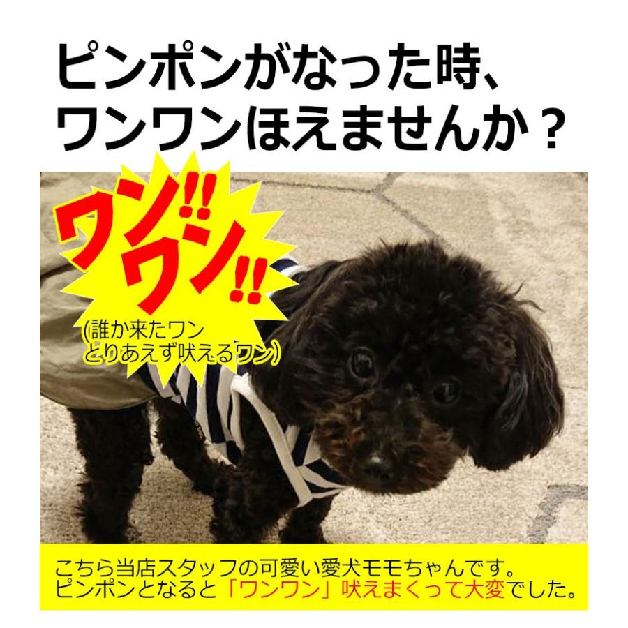 犬用 無駄吠え 禁止くん 無駄吠え防止首輪 犬 首輪 3つの しつけ 方法 音 電気 振動 ムダ吠え 無駄吠え防止 微電流 電気ショック トレーニング 近隣 充電 正規品 :PETTR01:KYPLAZA Yahoo!ショッピング店 - 通販 - Yahoo!ショッピング 犬用 無駄吠え 禁止くん 無駄吠え防止首輪 犬 首輪 3つの しつけ 方法 音 電気 振動 ムダ吠え 無駄吠え防止 微電流 電気ショック トレーニング 近隣 充電 正規品 :PETTR01:KYPLAZA Yahoo!ショッピング店 - 通販 - Yahoo!ショッピング