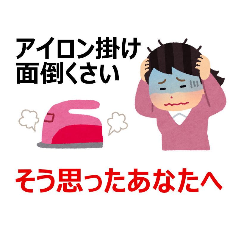 KYPLAZA シワを伸ばす 乾燥機 アイロンいら〜ず3 いらーず3 KYPLAZA シワを伸ばす 乾燥機 アイロンいら〜ず3 いらーず3