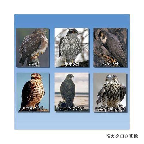 コンパル ソーラー・ドッキリバード（猛鳥コール） : KanamonoYaSan