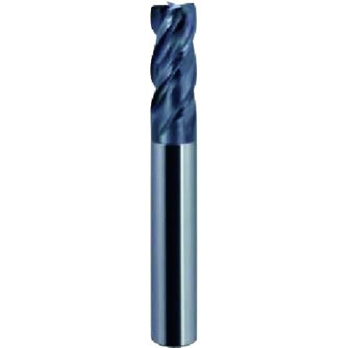 ウォーターミルズ WM不等分割ラジアスエンドミル 10x14x66mm AlTiN WSR440A101466