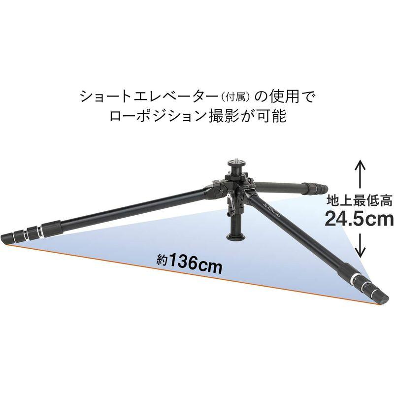 SLIK 三脚 ザ プロフェッショナル 4 NS 脚単体 4段 超大型 ショートエレベータ付属 109502     商品情報    【商品名】　SLIK 三脚 ザ プロフェッショ