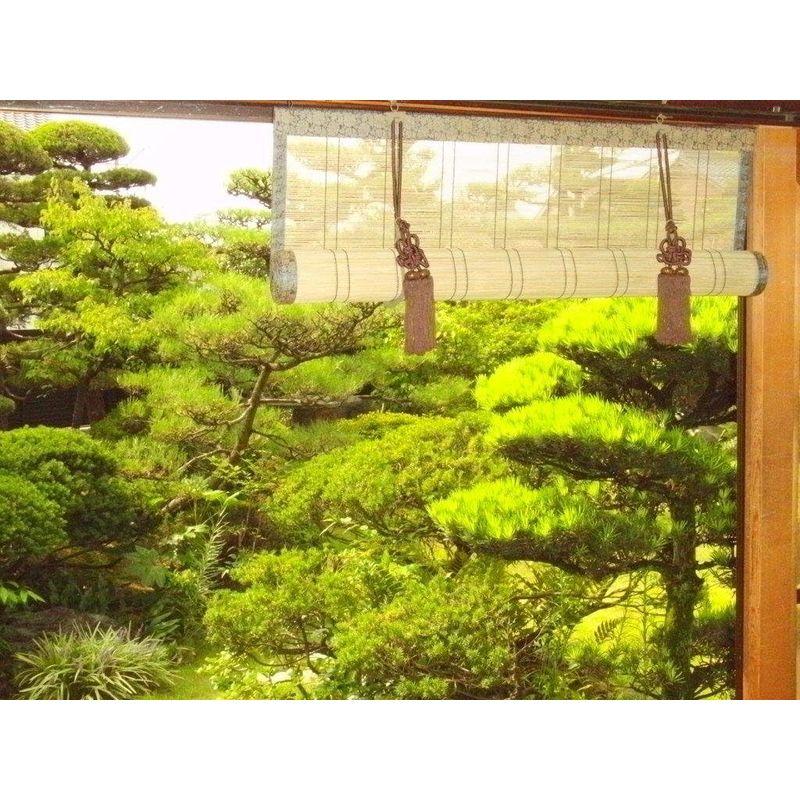 お座敷すだれ (幅88cmX高170cm) (幅88cmX高170cm) お座敷すだれ