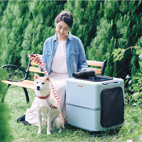 ペットサイ PETiCO PET CARRY ペットキャリー iCO 3001M 46L 2colar レビュー特典 マネーベルト有 キャスター
