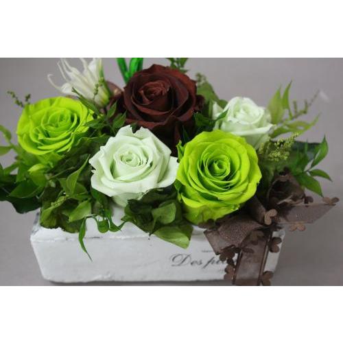 プリザーブドフラワー グリーン系アレンジ Guri N プリザーブドフラワーキュート 通販 Yahoo ショッピング