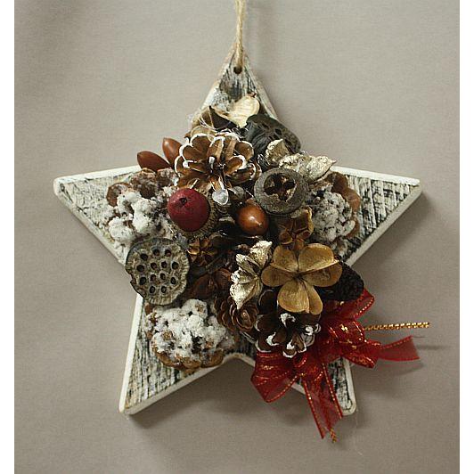 星の壁掛け*木の実のアレンジ : プリザーブドフラワーキュート - 通販