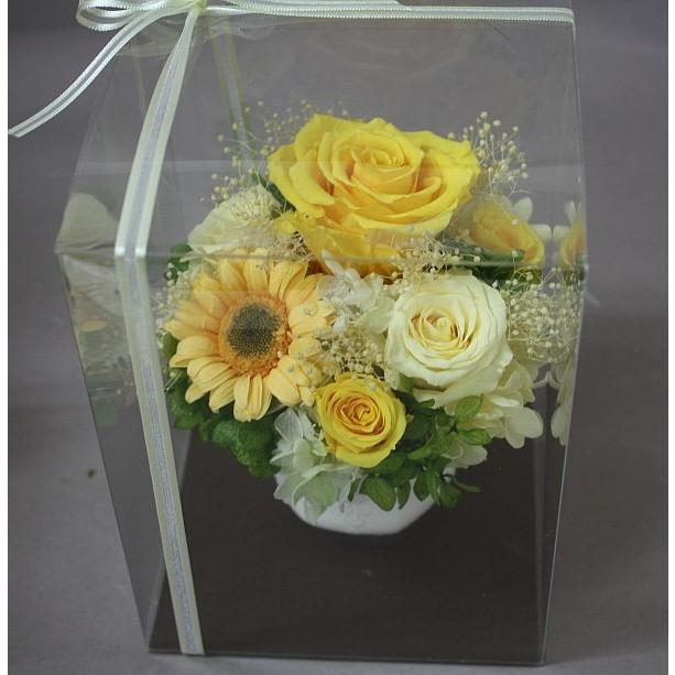 プリザーブドフラワー＊ケース入りアレンジ＊黄色系 : プリザーブド