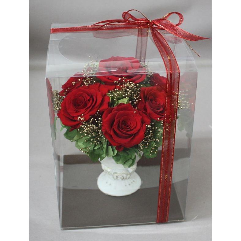 プリザーブドフラワー＊ケース入りアレンジ ＊レッド : プリザーブド