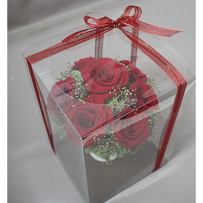 プリザーブドフラワー＊ケース入りアレンジ（レッド）＊サイズ 21