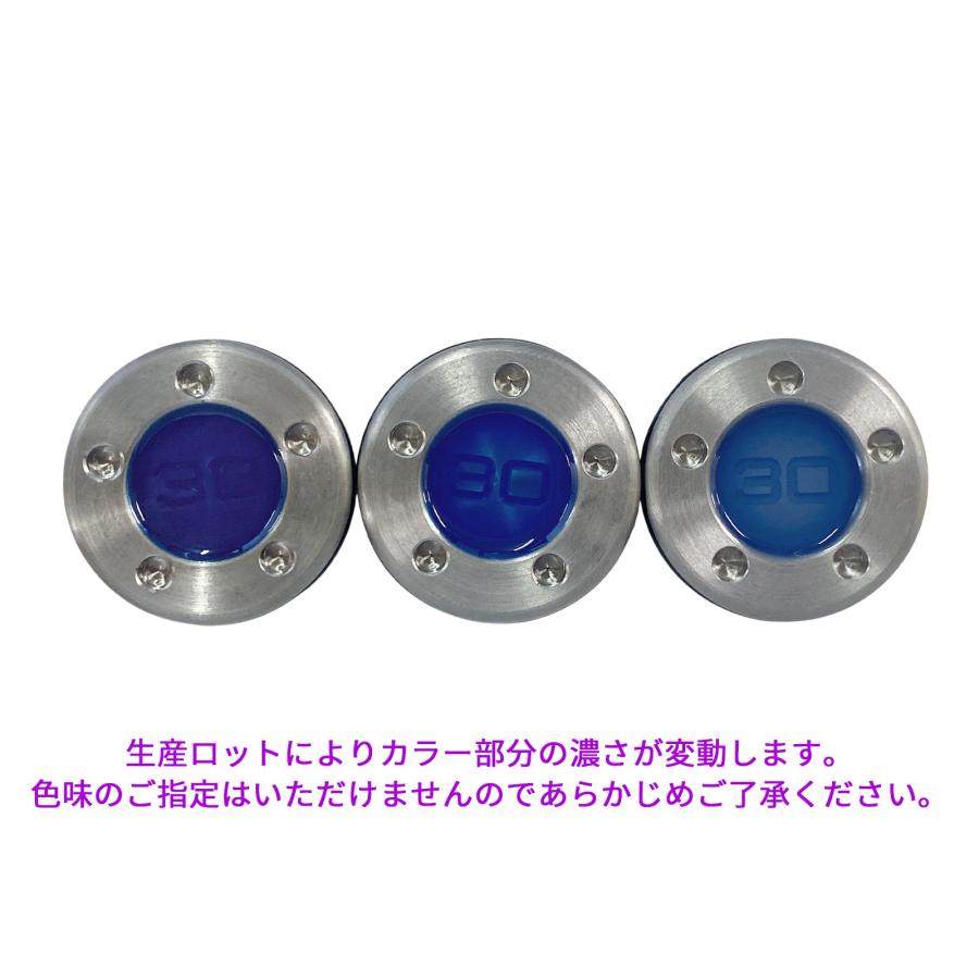 互換品】 スコッティキャメロン互換用ウェイト 用 カスタムソール
