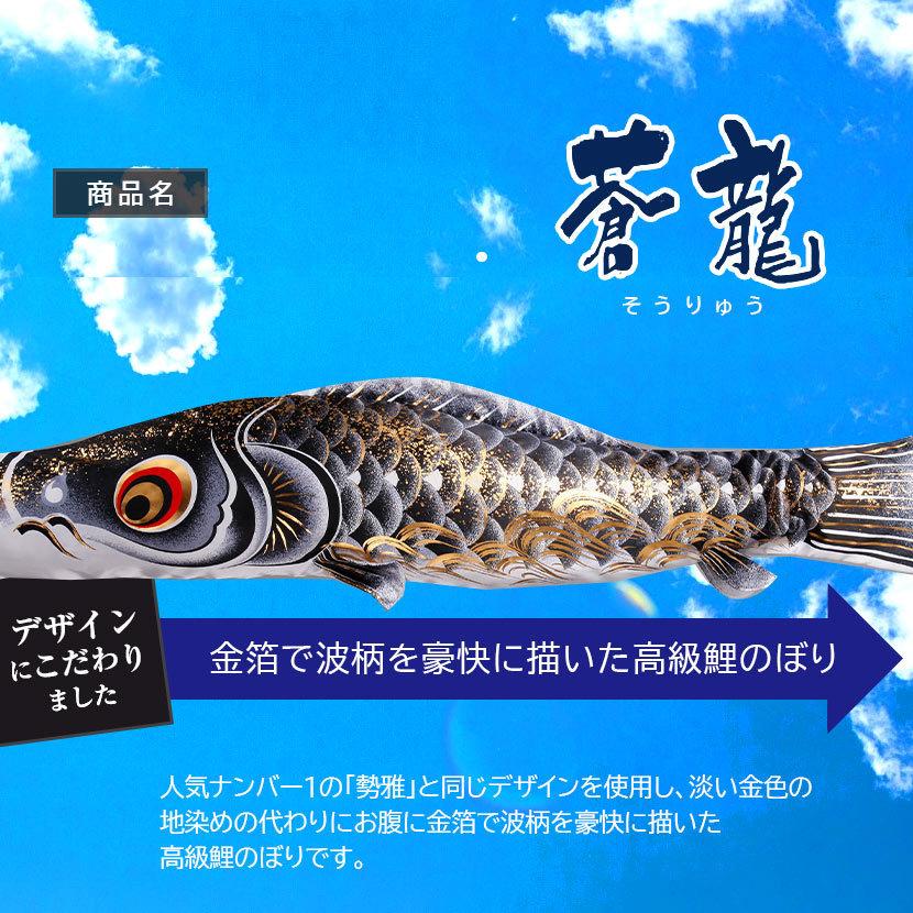 【全品ポイント3倍キャンペーン中】こいのぼり お庭用杭打込みセット 日本製 鯉のぼり 蒼龍 2m  杭打込みタイプ 矢車・ポール付家紋・名入れ可能の画像
