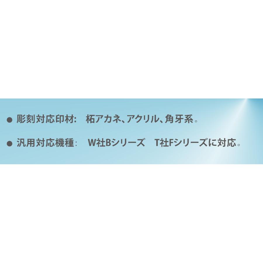 印鑑彫刻針10本セット 彫刻対応印材:アカネ柘、アクリル系、角 印鑑彫刻針10本セット 彫刻対応印材:アカネ柘、アクリル系、角