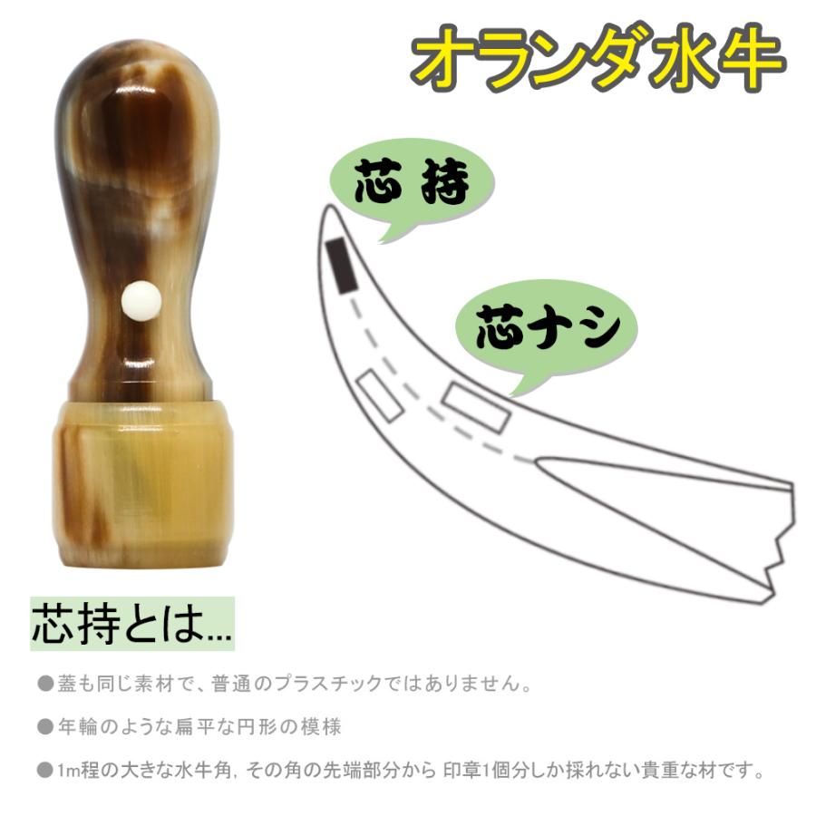 オランダ水牛 天丸印鑑 法人印鑑代表者印・銀行印 天丸 法人 印鑑 はんこ 会社設立 実印 銀行印 角印 16.5mm　18.0mm】 |  | 08