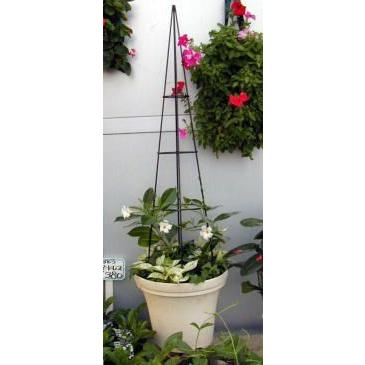 アイアン製 国産 オベリスク円錐120 : キューピー園芸資材 - 通販