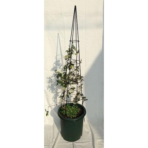 アイアン製 国産 オベリスク円錐90 キューピー園芸資材 通販 Yahoo ショッピング