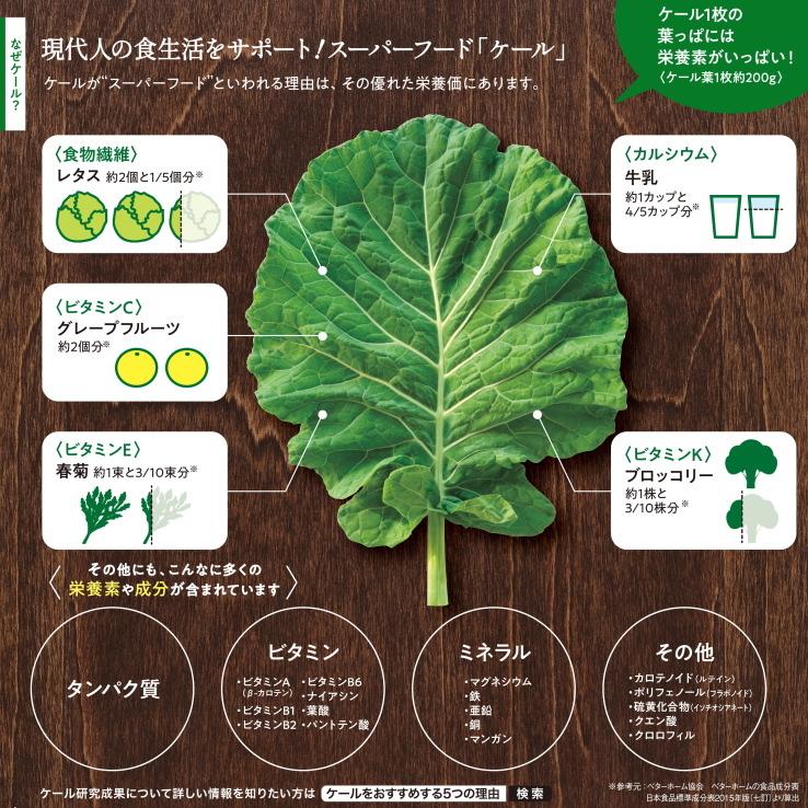 青汁 キューサイ ザ・ケール＋カテキン 420g 6袋まとめ買い おまけつき_4