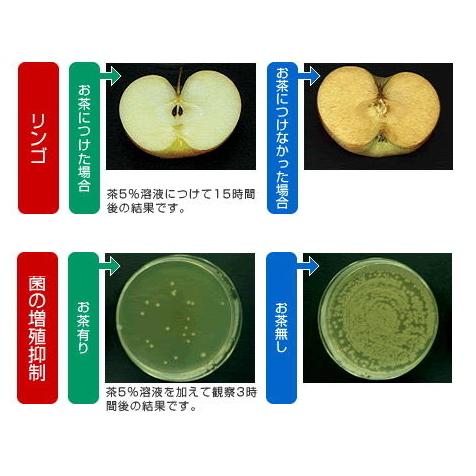 青汁 キューサイ ザ・ケール＋カテキン 420g 6袋まとめ買い おまけつき_5