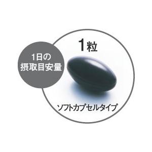 キューサイ ブルーベリーメグスリノキ 30粒入 4袋まとめ買い｜kyusaikenko｜07