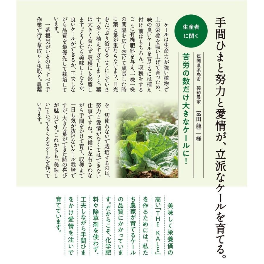 キューサイ 青汁 ケール 粉末 7g×30本入 3箱まとめ買い おまけ付