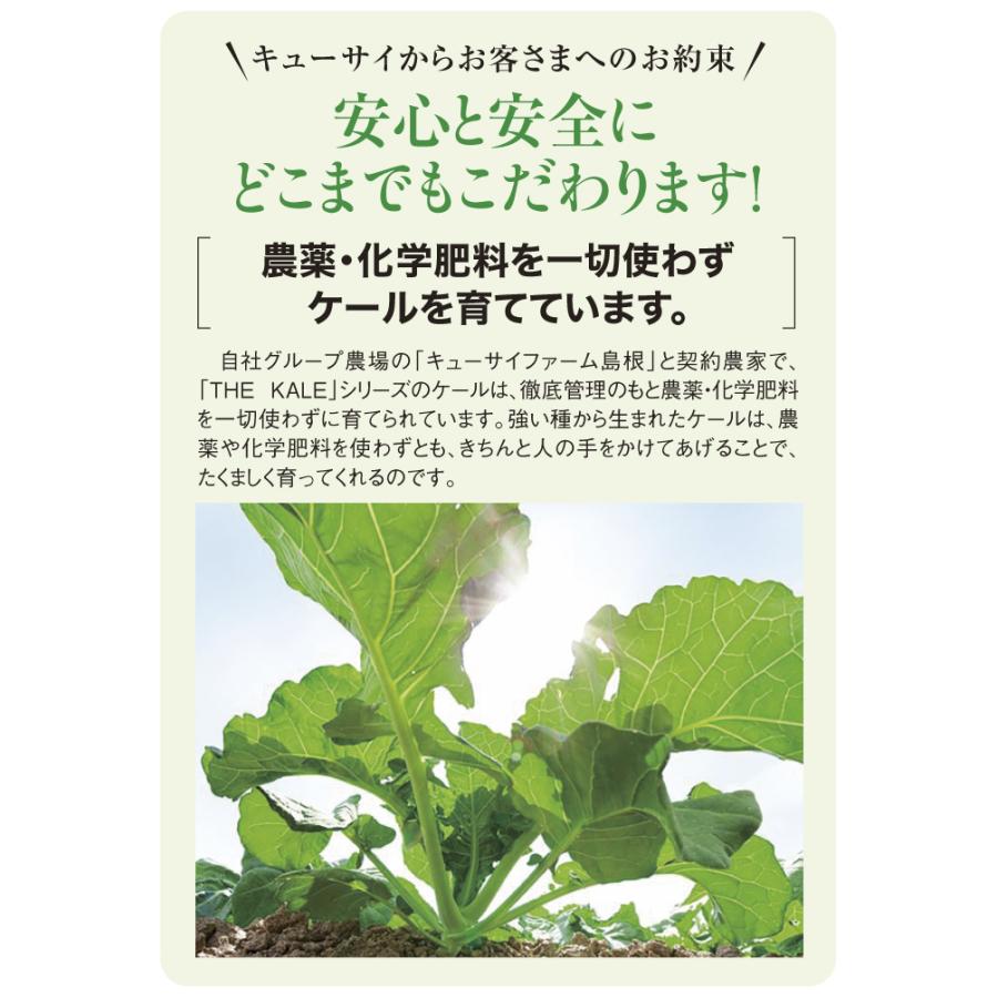 キューサイ 青汁 ケール カテキン入り 粉末 420g 4袋まとめ買い おまけ付き_4