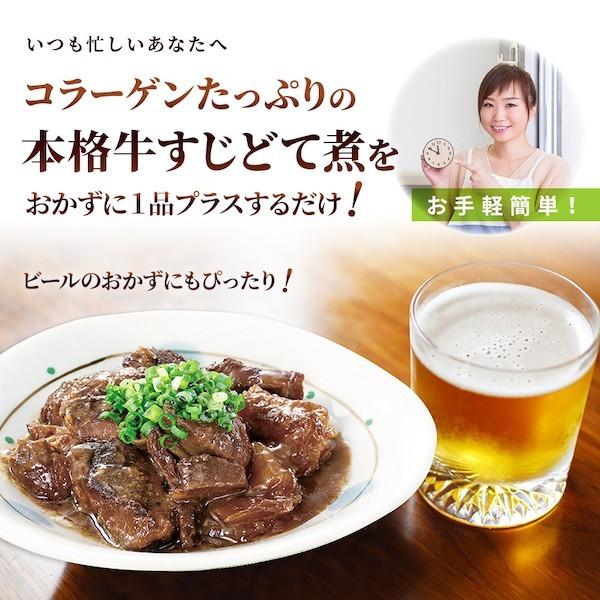 70 以上節約 牛すじ どて煮 国産 牛すじ煮込み レトルト 博多 屋台風 コラーゲン 常温保存 送料無料 メール便 125g 6パック Gwセール Babylonrooftop Com Au