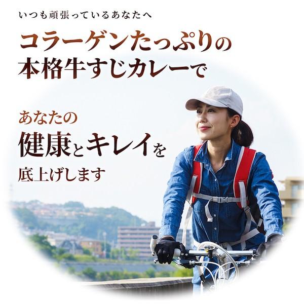 牛すじカレー 200g×3パック 中辛 牛すじ ビーフカレー  国産 コラーゲン 送料無料 博多 防災対策 レトルトカレー レトルト食品 メール便｜kyushu-gochisoubin｜02