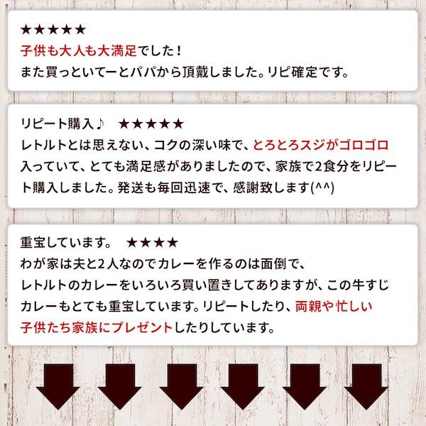 牛すじカレー 200g×5パック 中辛 牛すじ ビーフカレー 国産 コラーゲン 送料無料 防災対策  レトルトカレー レトルト食品  メール便｜kyushu-gochisoubin｜03