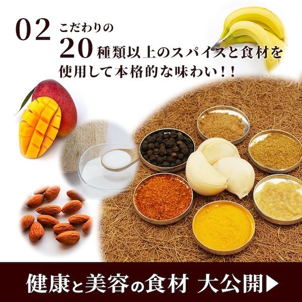 牛すじカレー 200g×5パック 中辛 牛すじ ビーフカレー 国産 コラーゲン 送料無料 防災対策  レトルトカレー レトルト食品  メール便｜kyushu-gochisoubin｜06