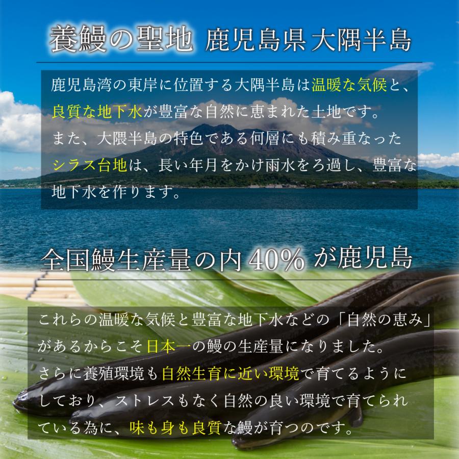 父の日　うなぎ　蒲焼き　国産　ギフト　鹿児島県産　200g×3尾　化粧箱　鰻　ウナギ　うなぎ蒲焼　蒲焼　贈り物　お中元　丑の日　送料無料｜kyushu-nakamuraya｜08