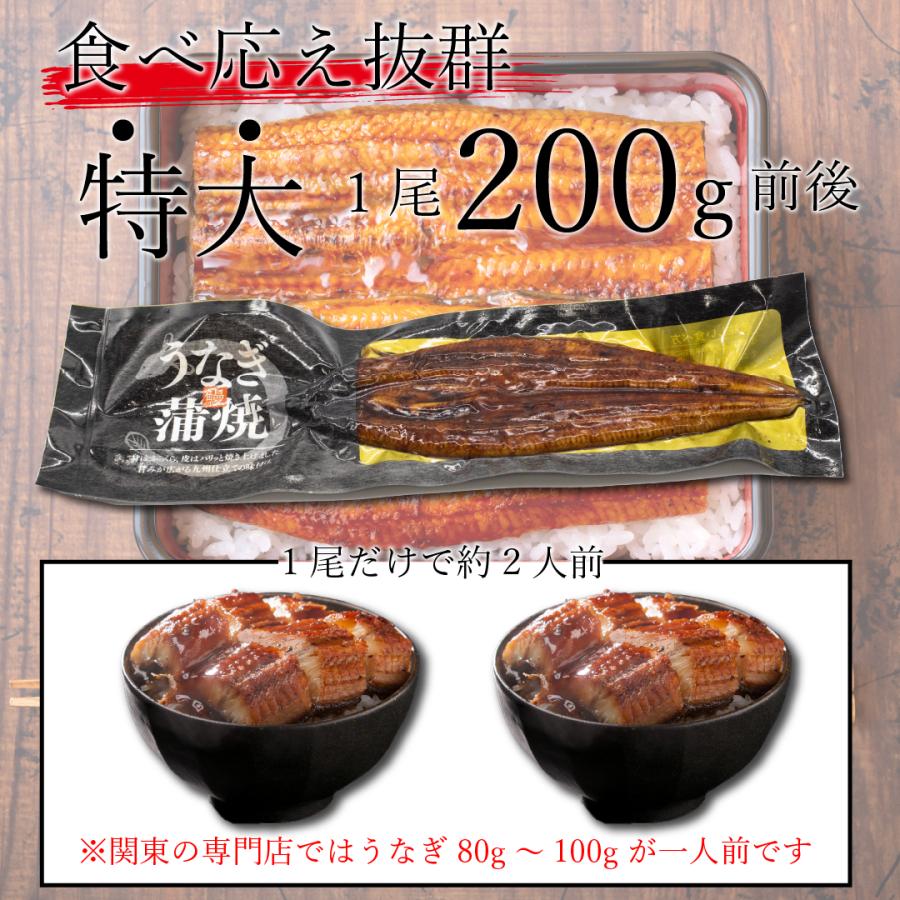 父の日　うなぎ　蒲焼き　国産　ギフト　鹿児島県産　200g前後×5尾　化粧箱　鰻　ウナギ　うなぎ蒲焼　蒲焼　贈り物　お中元　丑の日　送料無料｜kyushu-nakamuraya｜06