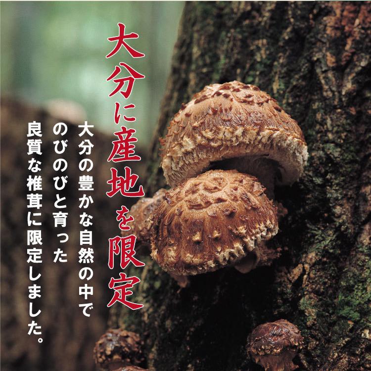 国産 干し椎茸170g×6袋 国産 干し椎茸170g×6袋 国産 干ししいたけ」の