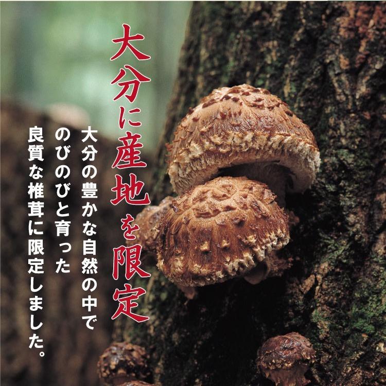 贈答用 大玉どんこ （干ししいたけ 大分県産）130g 木箱入 : 九州お