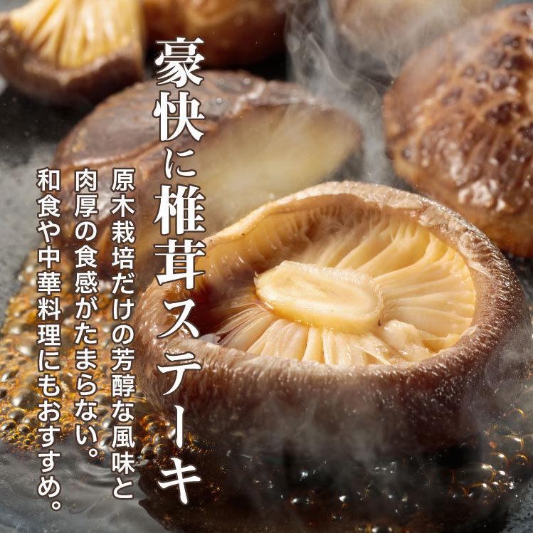 大分産 大玉どんこ 干ししいたけ 90g 木箱入 無農薬 ギフト : 九州お