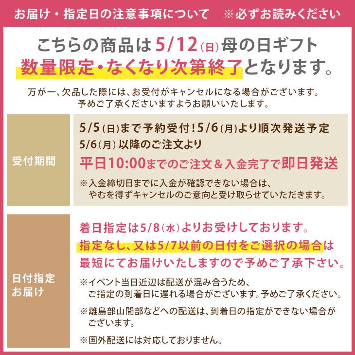 母の日限定【母の日あまざけギフト】《メッセージカード付き》（八穀あまざけ＋あまざけ） 甘酒 ギフト 母の日2023｜kyushu-sanchoku｜18