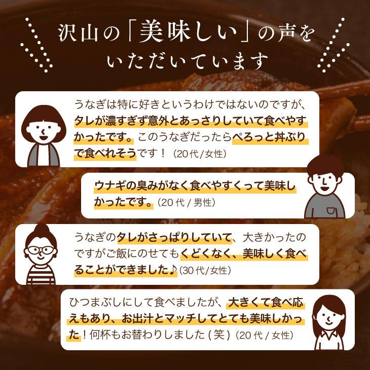 ギフト包装・熨斗・表書きOK 【鹿児島県産 うなぎ蒲焼 140g×4尾】 日本 国産 鰻 ウナギ 土用丑の日 お礼 御祝 お中元 ギフト 贈答 送料無料_10