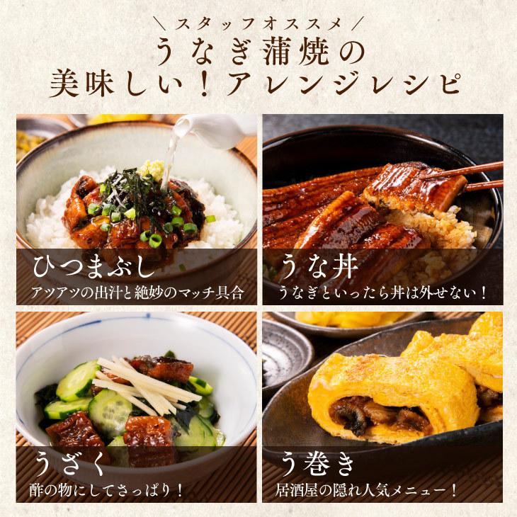 ギフト包装・熨斗・表書きOK 【鹿児島県産 うなぎ蒲焼 140g×4尾】 日本 国産 鰻 ウナギ 土用丑の日 お礼 御祝 お中元 ギフト 贈答 送料無料_12
