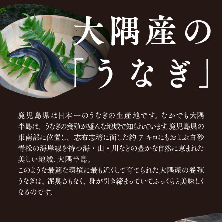 ギフト包装・熨斗・表書きOK 【鹿児島県産 うなぎ蒲焼 140g×4尾】 日本 国産 鰻 ウナギ 土用丑の日 お礼 御祝 お中元 ギフト 贈答 送料無料_3