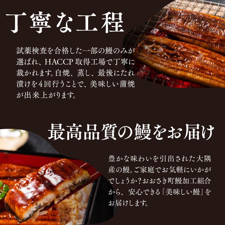 ギフト包装・熨斗・表書きOK 【鹿児島県産 うなぎ蒲焼 140g×4尾】 日本 国産 鰻 ウナギ 土用丑の日 お礼 御祝 お中元 ギフト 贈答 送料無料_4