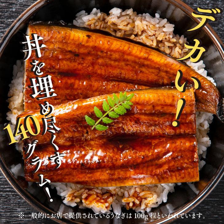 ギフト包装・熨斗・表書きOK 【鹿児島県産 うなぎ蒲焼 140g×4尾】 日本 国産 鰻 ウナギ 土用丑の日 お礼 御祝 お中元 ギフト 贈答 送料無料_5