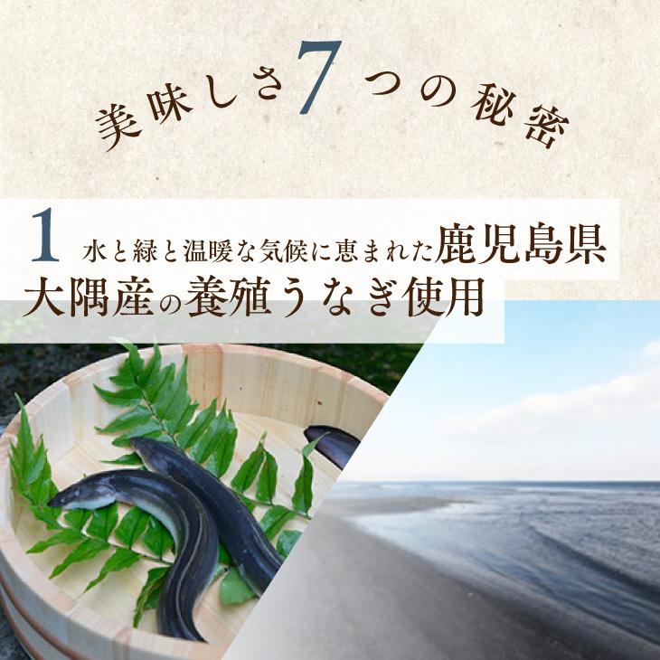 ギフト包装・熨斗・表書きOK 【鹿児島県産 うなぎ蒲焼 140g×4尾】 日本 国産 鰻 ウナギ 土用丑の日 お礼 御祝 お中元 ギフト 贈答 送料無料_6
