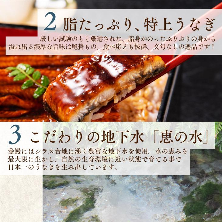 ギフト包装・熨斗・表書きOK 【鹿児島県産 うなぎ蒲焼 140g×4尾】 日本 国産 鰻 ウナギ 土用丑の日 お礼 御祝 お中元 ギフト 贈答 送料無料_7