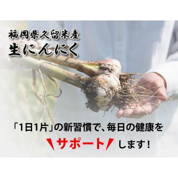 【6月上旬順次発送】生にんにく 6kg（SS〜Lサイズ） 国産 にんにく 福岡｜kyushu-sanchoku｜03