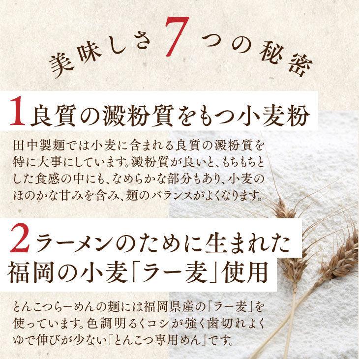 産地直送 【「田中の麺家」厳選８種 食べ比べセット】 九州 お取り寄せ うどん ラーメン ちゃんぽん 食べ比べ 送料無料｜kyushu-sanchoku｜12