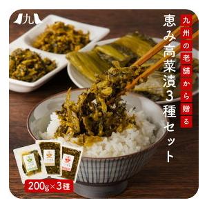産地直送 老舗逸品 恵み高菜漬3種セット 九州お取り寄せ高菜 1000ポッキリ おつまみ おかず おにぎり 惣菜 漬物 お弁当 送料無料 Wky 九州お取り寄せ本舗 通販 Yahoo ショッピング