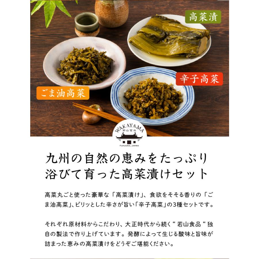産地直送 老舗逸品 恵み高菜漬3種セット 九州お取り寄せ高菜 1000ポッキリ おつまみ おかず おにぎり 惣菜 漬物 お弁当 送料無料 Wky 九州お取り寄せ本舗 通販 Yahoo ショッピング