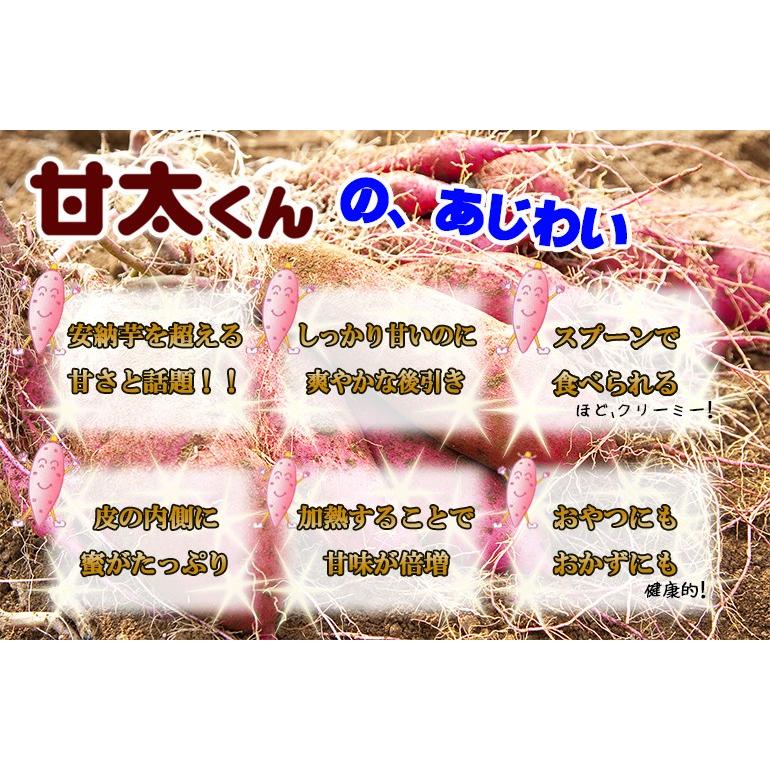甘太くん 5kg 秀品 高糖度さつまいも 紅はるか 初物 2025年12月4日〜9