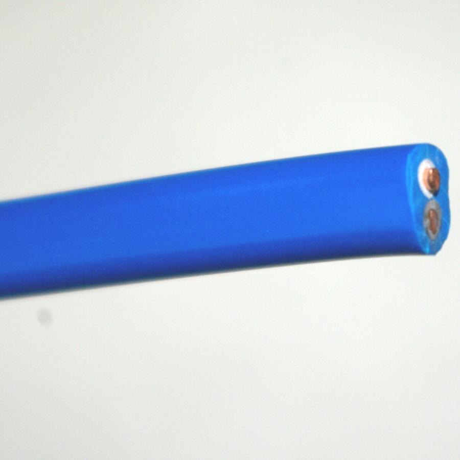 青い VVF 2ミリ2心【1m 切断販売】第1種 第2種電気工事士 技能試験用
